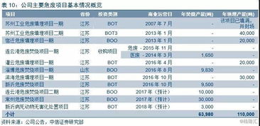 中国光大绿色环保 1257.hk 投资价值分析报告 厚积薄发,生物质 危废双龙头起航