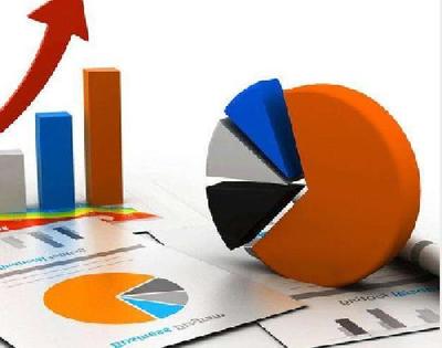 项目投资价值分析报告