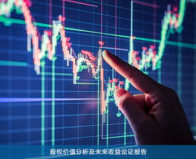 股权价值分析及项目投资风险分析哪家专业 品智价格合理