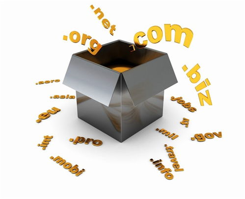 安徽高瞻管理公司 项目投资价值及未来收益分析