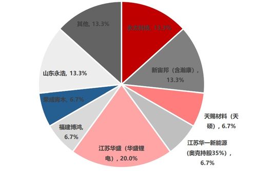 电解液添加剂vc 碳酸亚乙烯酯 项目投资价值分析报告 高景气度带来供不应求