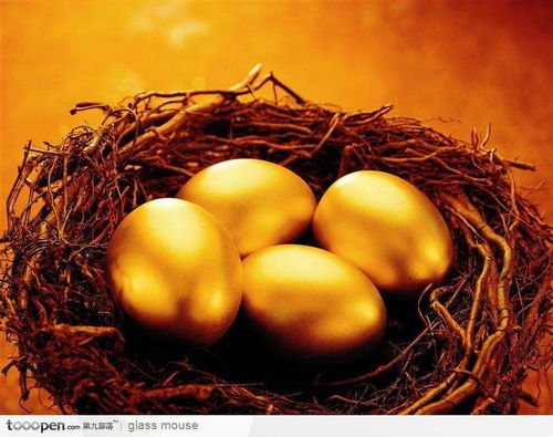 内蒙古股权价值分析报告专业公司