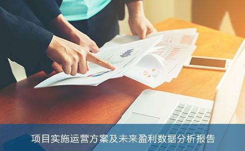 抚州项目投资价值数据分析.偿债能力及未来收益综合论证丰奥数据