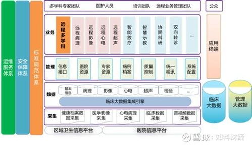 康康组合 卫宁健康与创业慧康投资价值深度分析